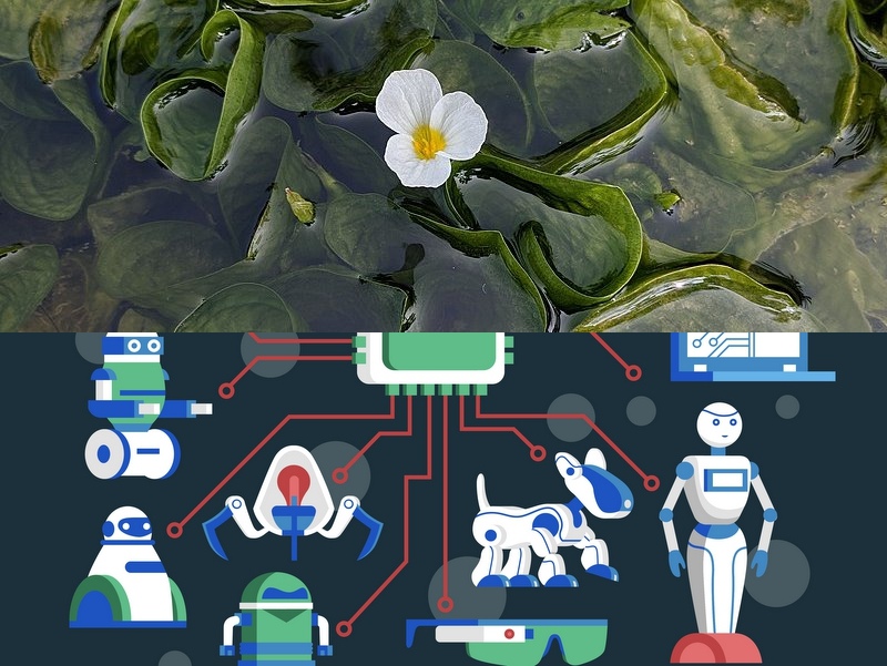 人工智能系統開(kāi)發(fā)