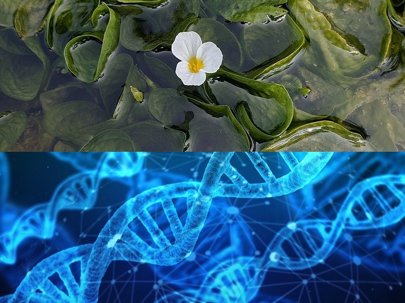 軟件開(kāi)發(fā)