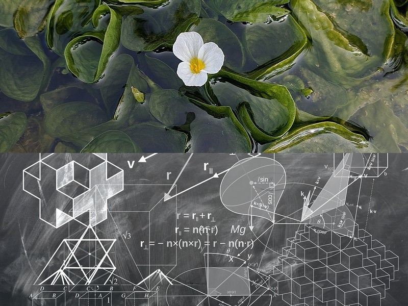 單片機項目開(kāi)發(fā)