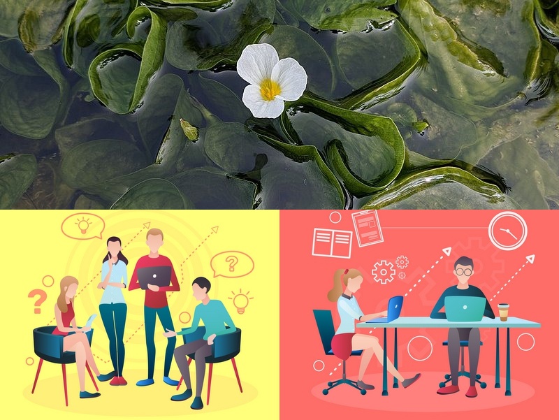 農業(yè)物聯(lián)網(wǎng)