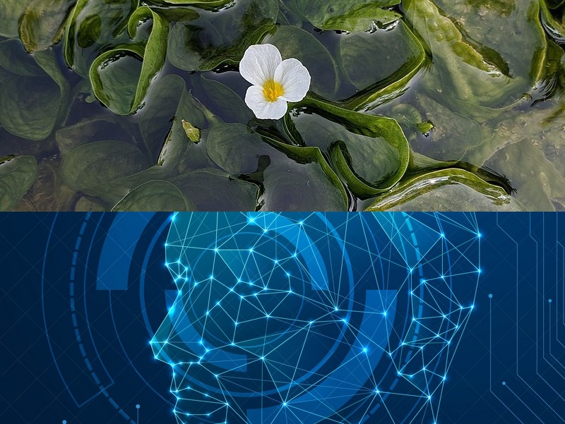開(kāi)發(fā)APP應用程序