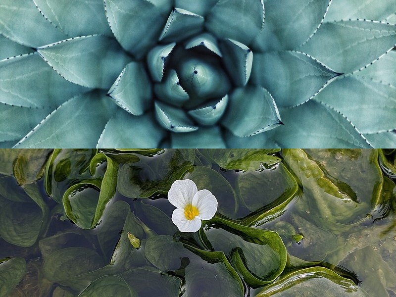 無(wú)線(xiàn)藍牙音箱怎么用？