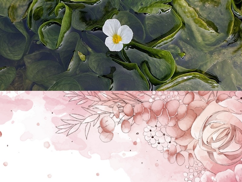 手機app系統開(kāi)發(fā)