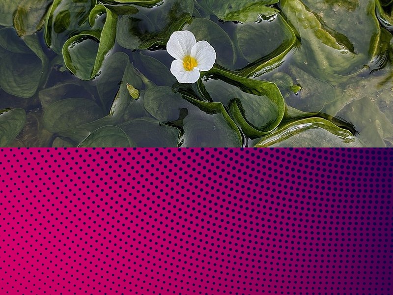 手機app系統開(kāi)發(fā)