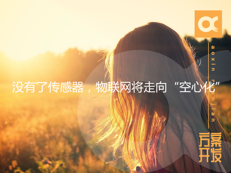 沒(méi)有了傳感器，物聯(lián)網(wǎng)將走向“空心化”