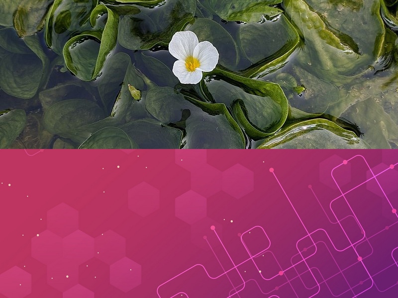 物聯(lián)網(wǎng)應用軟件開(kāi)發(fā)