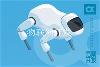 什么是知識產(chǎn)權的國際保護？