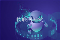 項目中的軟硬件開(kāi)發(fā)環(huán)境與工具指的是什么？
