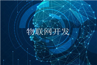 軟件開(kāi)發(fā)方案服務(wù)型公司為什么在國內會(huì )比較吃香？