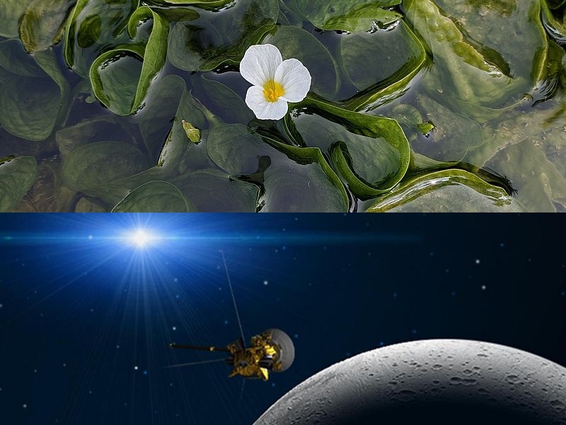 物聯(lián)網(wǎng)應用軟件開(kāi)發(fā)
