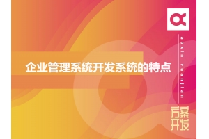 企業(yè)管理系統開(kāi)發(fā)系統的特點(diǎn)有哪些呢？