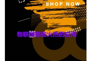 2019年物聯(lián)網(wǎng)那些火熱的應用