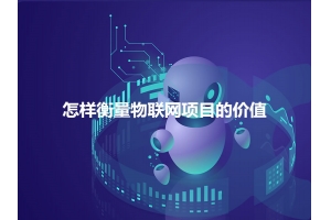 怎樣衡量物聯(lián)網(wǎng)項目的價(jià)值呢？