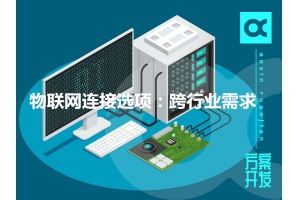 物聯(lián)網(wǎng)連接選項：跨行業(yè)需求